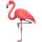 Φοινικόπτερος emoji στο iPhone (iOS 15.4)