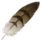 Feather emoji on Apple iOS 17.4