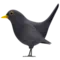 Black Bird emoji on Apple iOS 17.4