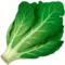 Leafy Green emoji on iPhone (iOS 12.1)