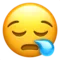 Faccia assonnata emoji su Apple iOS 10.2