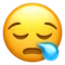 Sleepy Face emoji on iPhone
