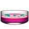 Petri Dish emoji on Apple iOS 17.4
